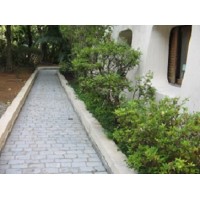 AMBIENTE PEDRA SANTA ISABEL